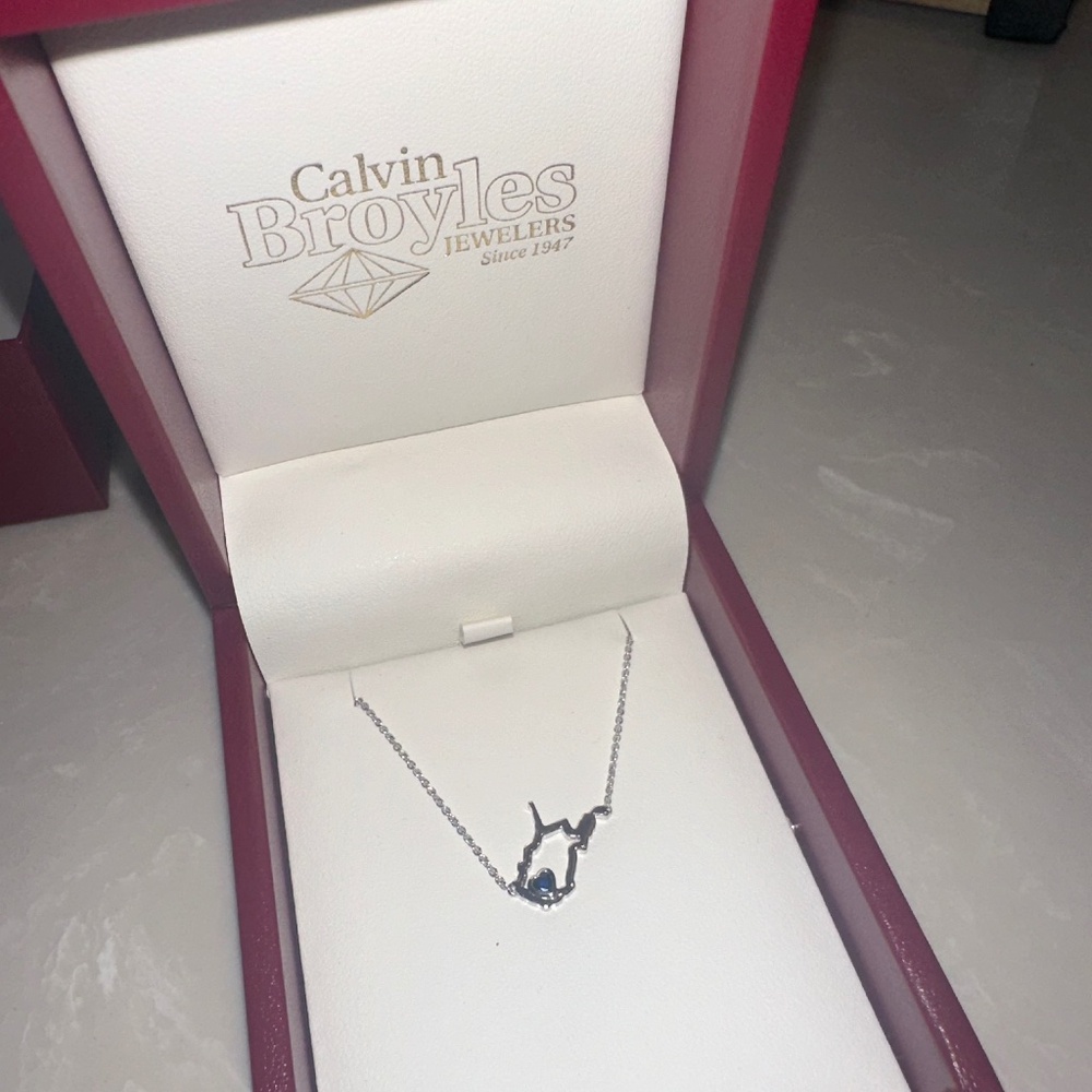 Calvin broyles West Virginia necklace